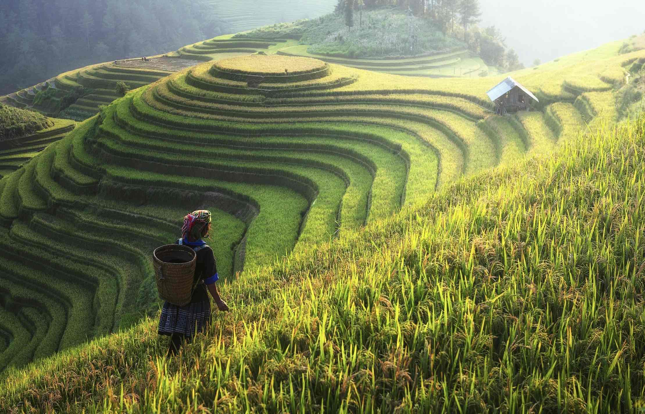 Cheap flights to Vietnam: Discover Sapa