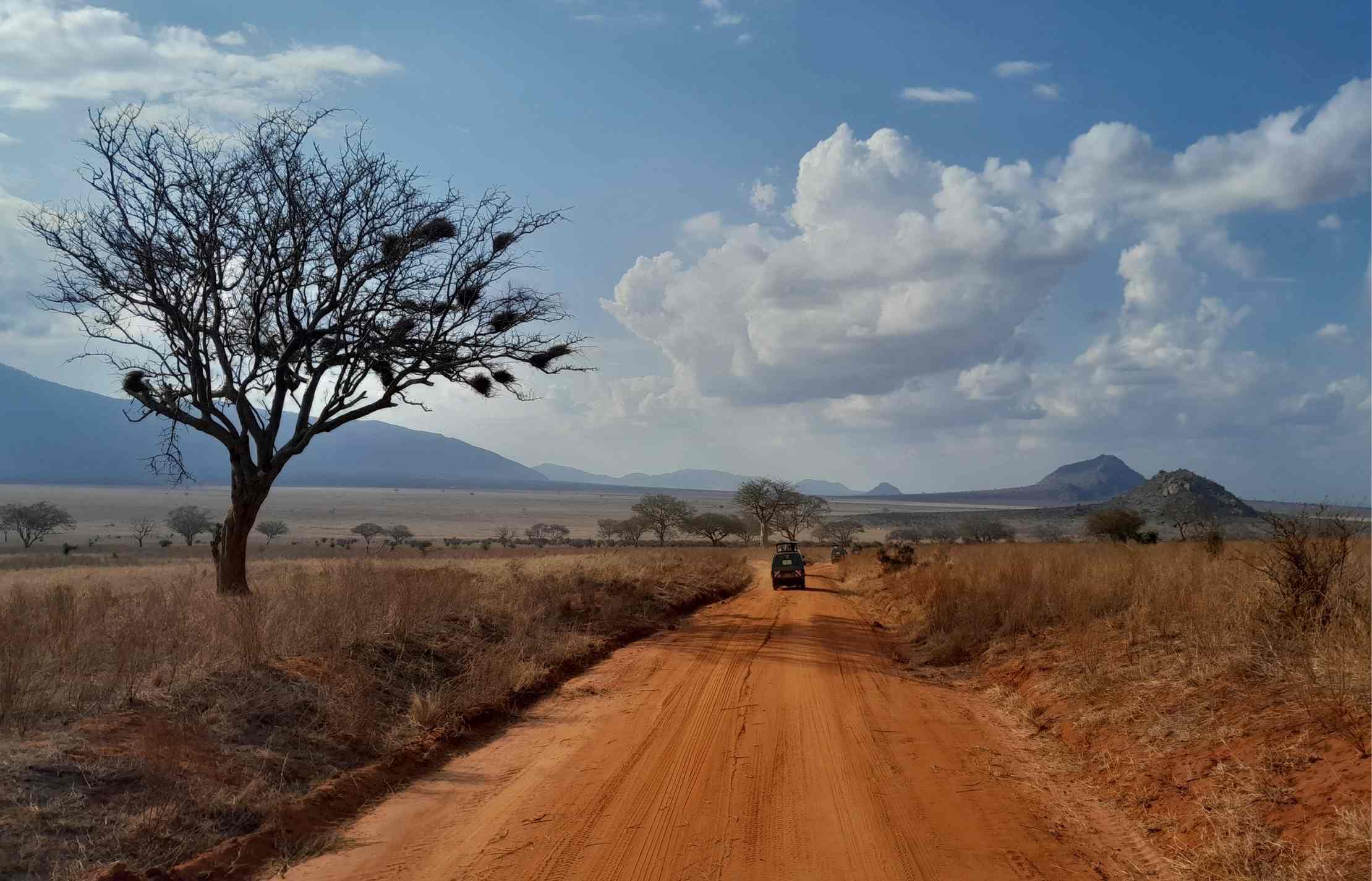 Best time to visit Kenya